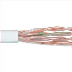 6类UTP线缆，干线级护套，4对23AWG实心导线，白，1000英尺（305米）的图片