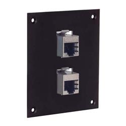 通用子面板，2个屏蔽式6类耦合器，RJ45直通式的图片